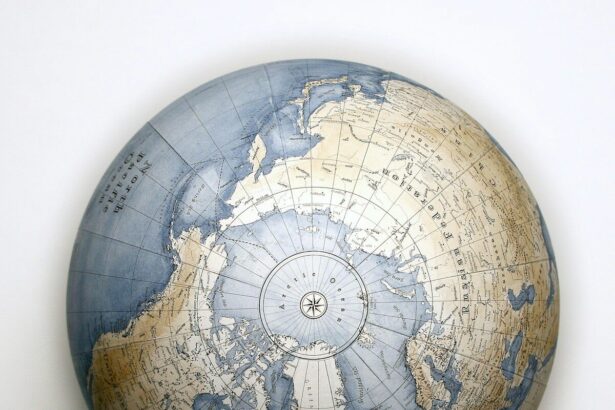 brown and black globe on white table